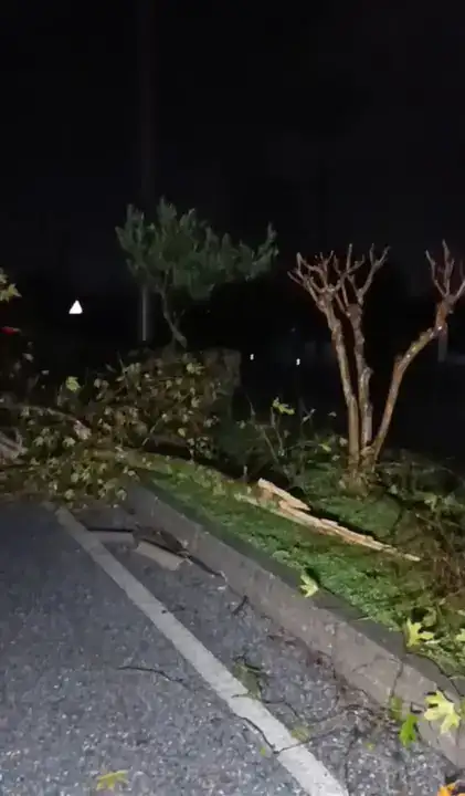 Fırtına ve Hortum Seraları Yıktı, Yollar Göle Döndü 12